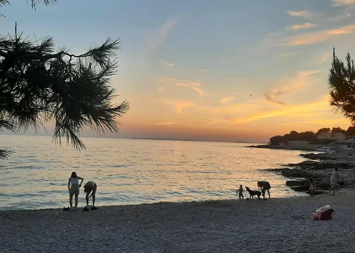 Apartman Mare